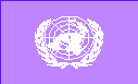 United Nations Flag